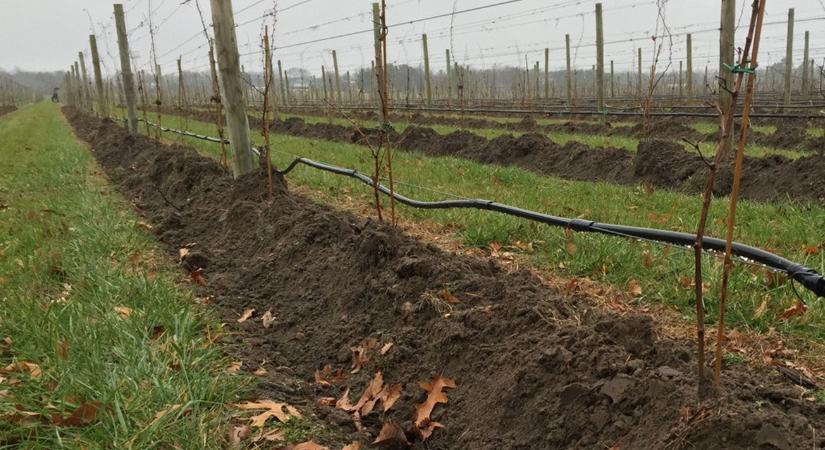 Mini dombok és takarások – a profik módszere