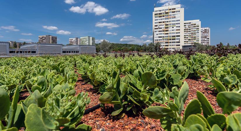 Fenntarthatóság az építőiparban: így mutat irányt a Market Csoport