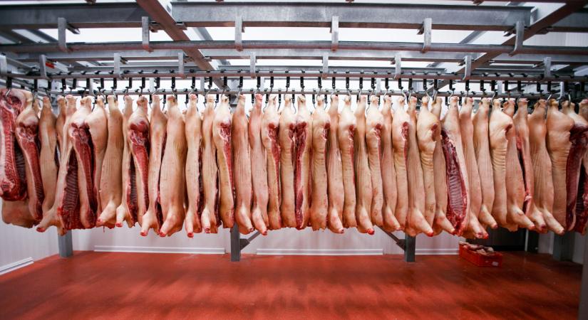 Nagy dobásra készülnek a brazilok: ilyen hússal árasztanák el a világot