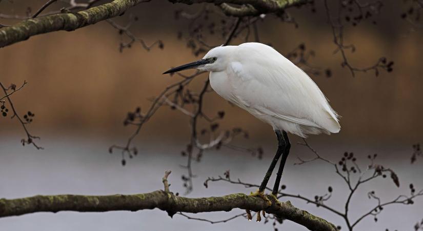 Rég volt ilyen időben részünk, rendkívüli, ami közeleg Magyarország felé - időjárás előrejelzés