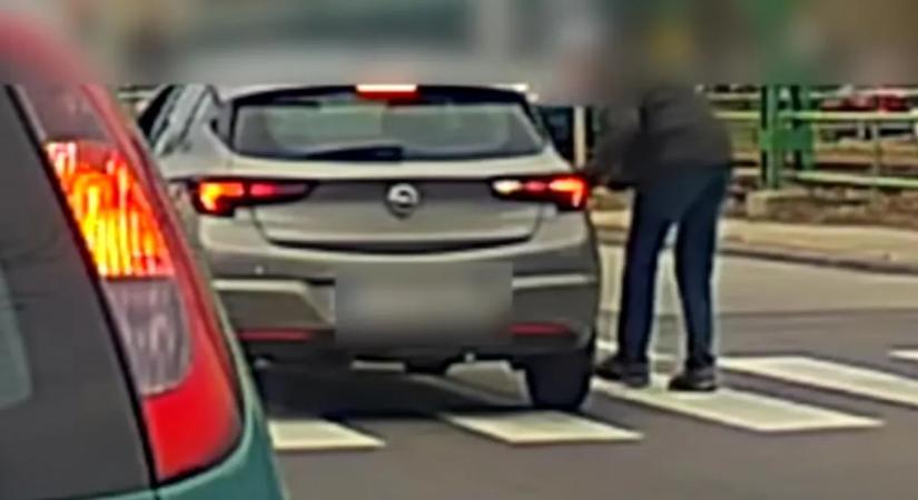 Ennél nagyobb hülyeséget művészet lenne csinálni egy zebránál – videó