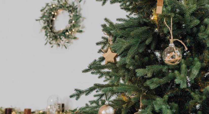 Tedd ezt a fenyőfa vízébe, és nagyon sokáig nem fog hullani a tűlevél