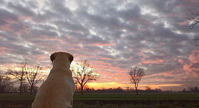Napsütést és enyhe időt kapott a déli országrész