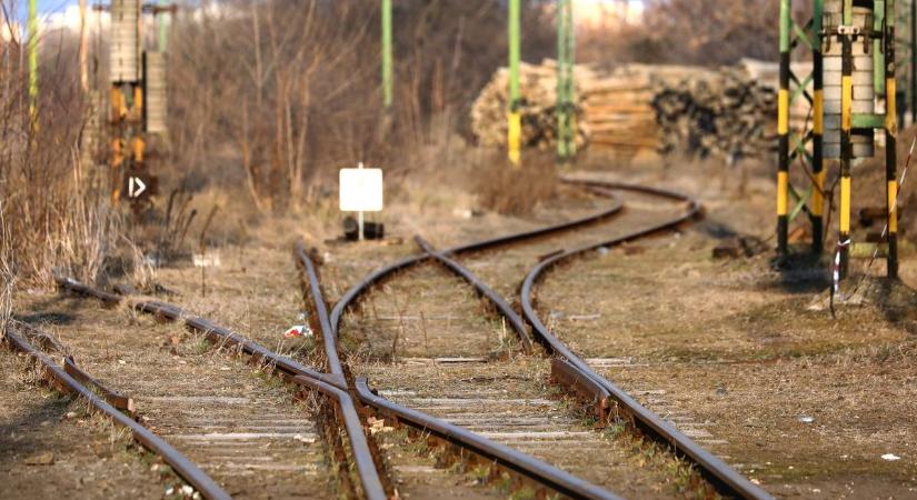 Feltuszkolta a káli buszra, elrabolta és külföldre vitte élettársát egy férfi