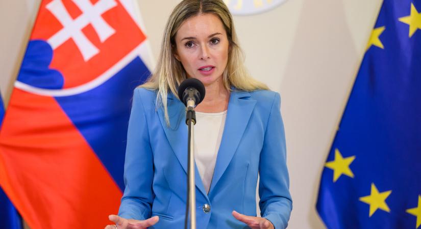 Kormánybiztos: Egyelőre nem tudjuk szakmailag értékelni az AB döntését