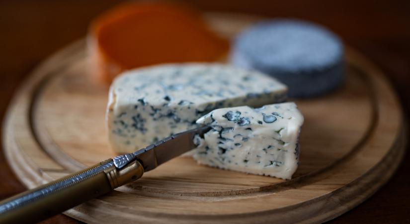 Kevesebb eséllyel alakulhat ki demencia azoknál, akik több zsíros sajtot esznek