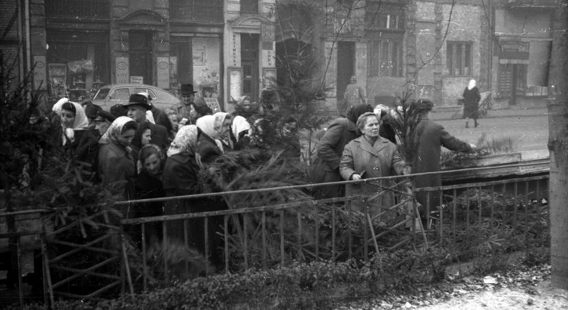 Szúrós tűlevelek és méltató tekintetek: így vettünk karácsonyfát régen – retró galéria