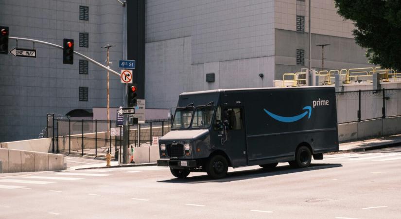 Csomagkihordás közben lopta el a család macskáját a futár – mindent felvett a kamera