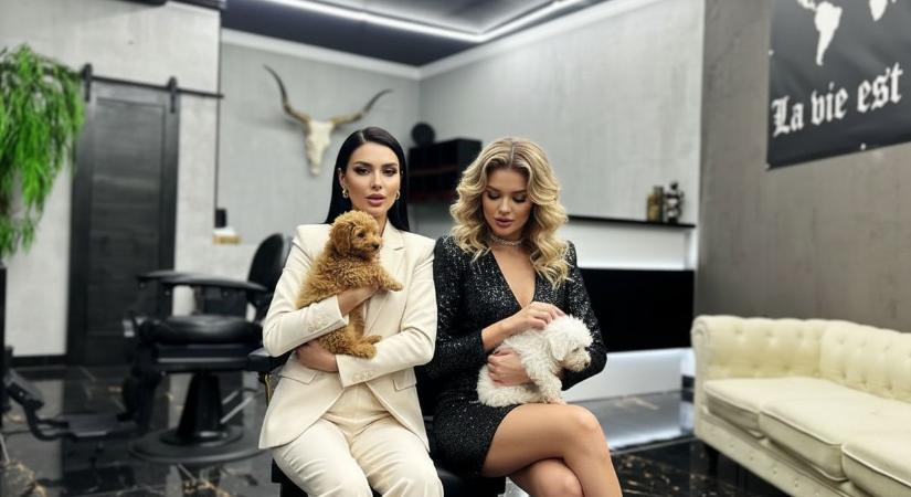 Melltartóban az elárvult állatokért – extrém adománygyűjtést szervez a pécsi borbélyszalon