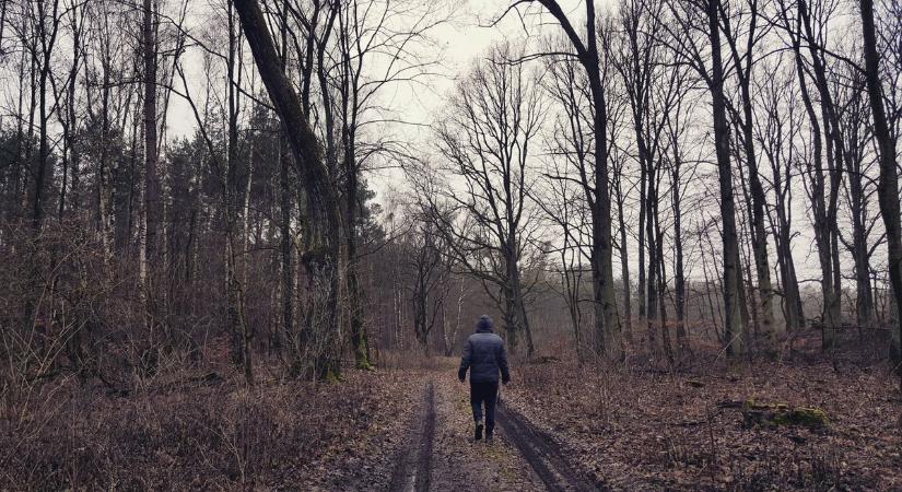 Véget akart vetni életének egy diák, a kerületvezető erdész talált rá az erdőben