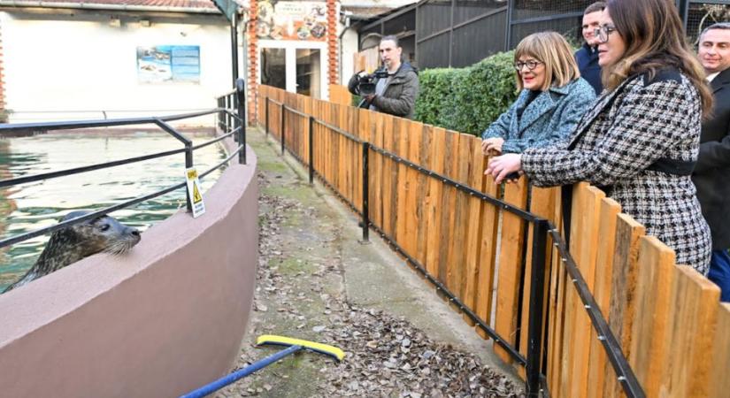 „Elfogadhatatlan, hogy aki állatokkal foglalkozik, felvegye őket a haláluk előtti állapotukban”