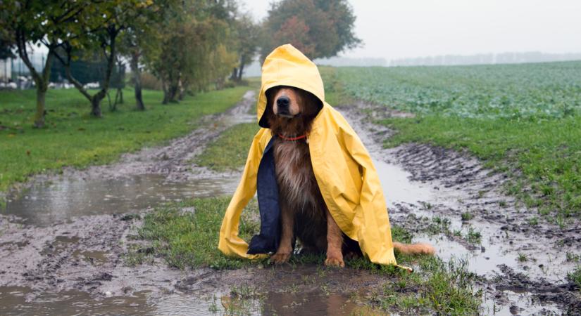 Szitálás nehezítheti a közlekedést hétvégén
