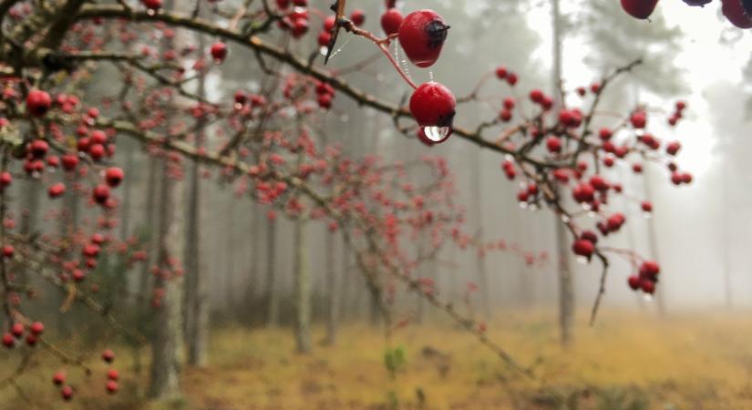 Kijött, milyen időjárás lesz a hétvégén: vigyázz, ne érjen váratlanul