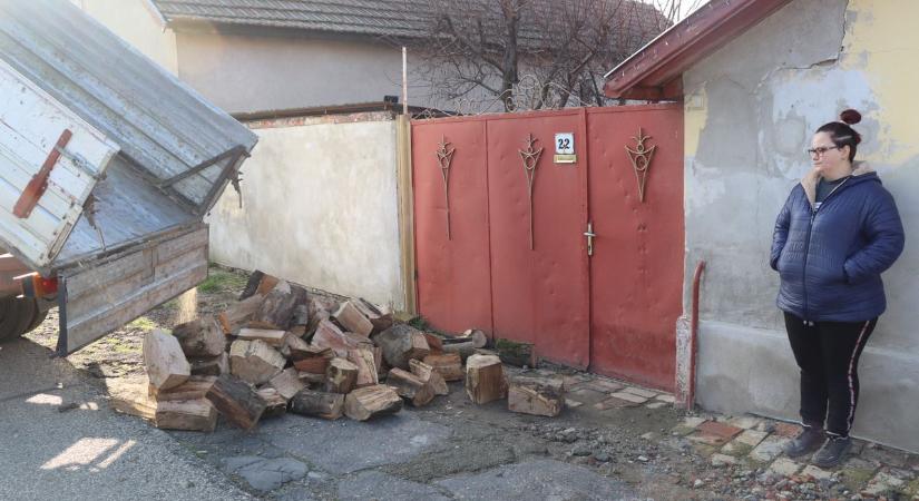 Egy teherautónyi segítség érkezett karácsony előtt 100 makói családhoz