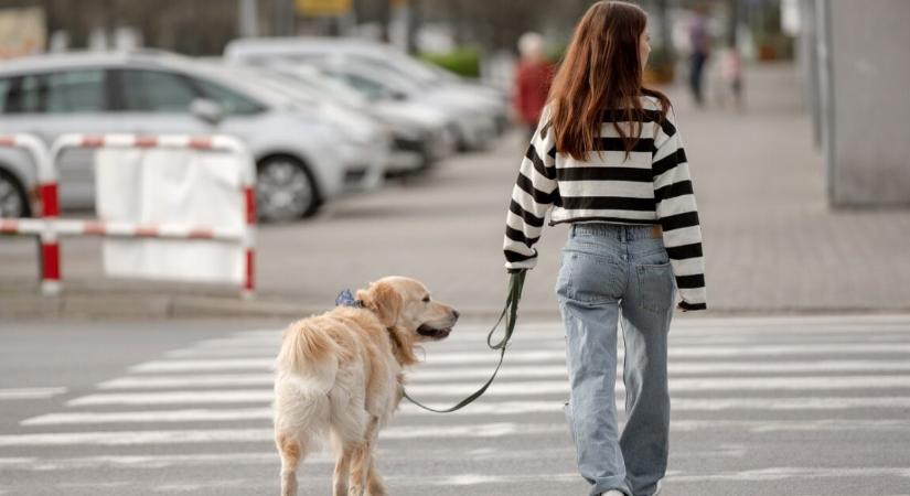 A 15 éves lány felmondott, miután szülei lakbért követeltek tőle