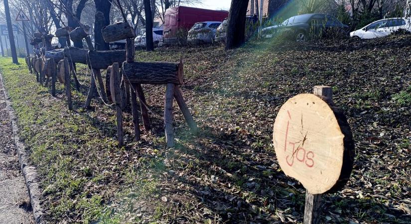 Elloptak egy rénszarvast Szekszárdon – az egész város keresi!