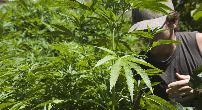 Történelmi fordulat az Egyesült Államokban: Trump aláírta a végrehajtási rendeletet