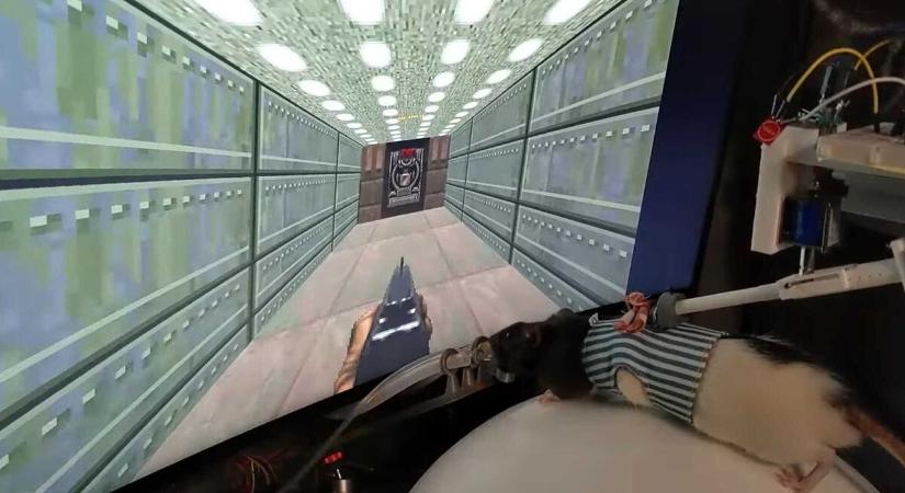 Patkányok a pokolban: most már nem az emberek az egyetlenek, akik a Doommal játszanak [VIDEO]