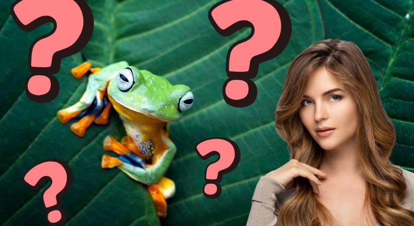 Izgalmas kérdések vannak a legújabb élővilágkvízben: hányra tudod a helyes választ?