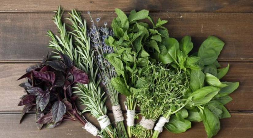 Ez a 3 gyógynövény csodaszer a gyomornak