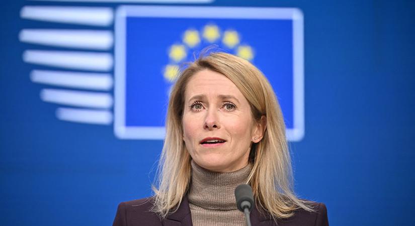 „Az én hörcsögöm jobban ért a politikához”