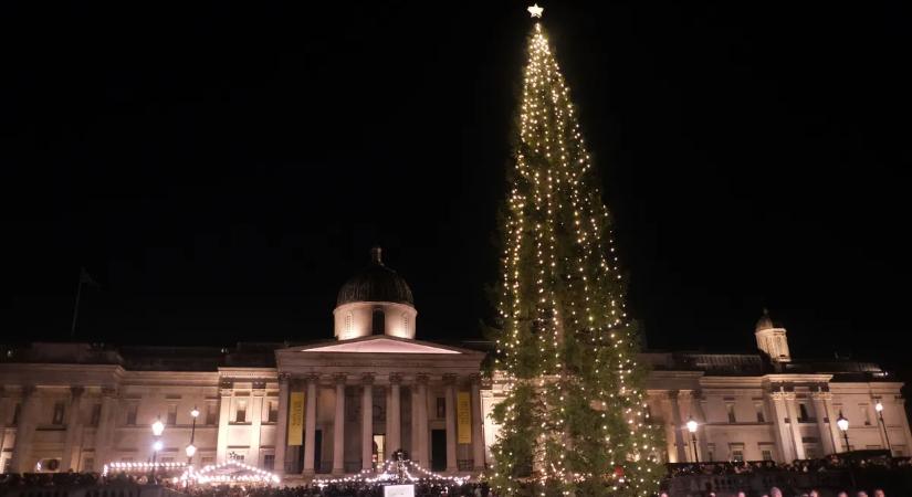 Ezek a világ legcsúnyább karácsonyfái, némelyik igazi legenda