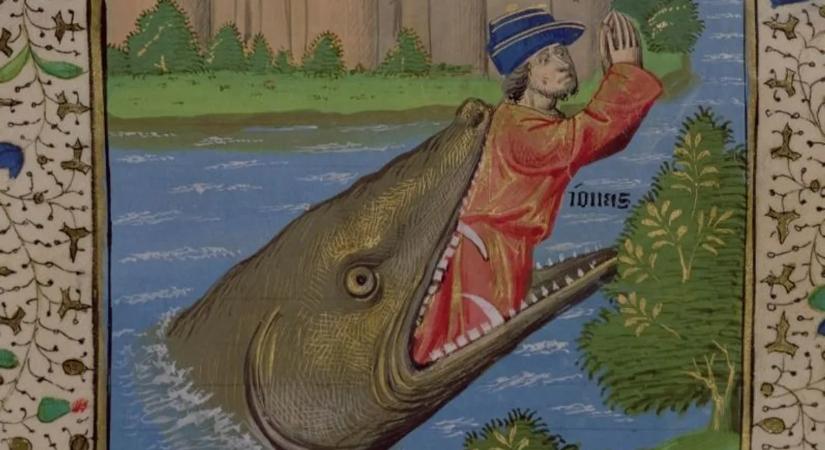 Lenyelhet-e egy bálna egy embert – most megtudhatja az igazságot