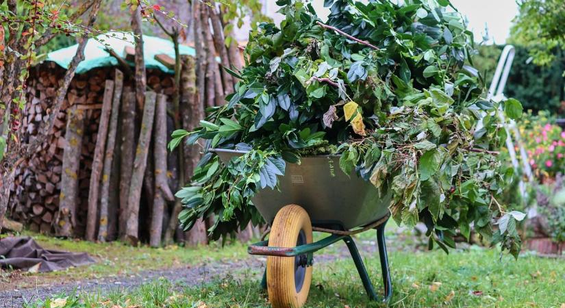 Hogyan válasszunk ágdarálót? – Útmutató tudatos kerttulajdonosoknak