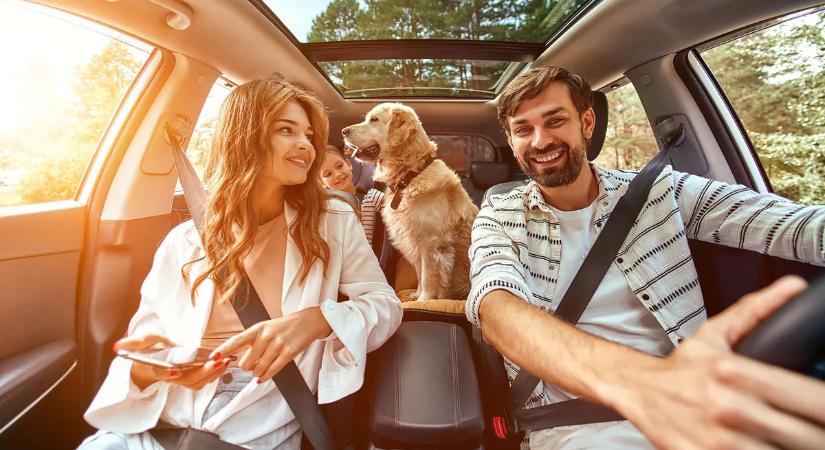 Utazás kutyával vagy macskával? – 51 alapvető dolog, amit érdemes tudnunk indulás előtt