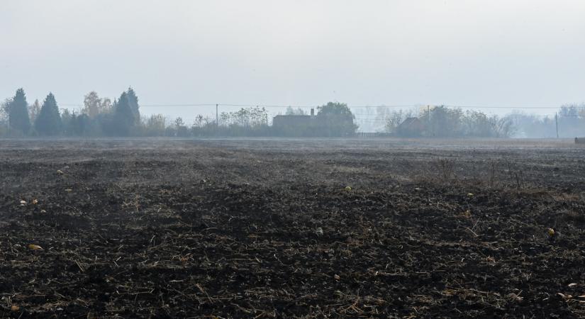 Borult, párás, ködös idő és 3–8 fok várható a hétvégén