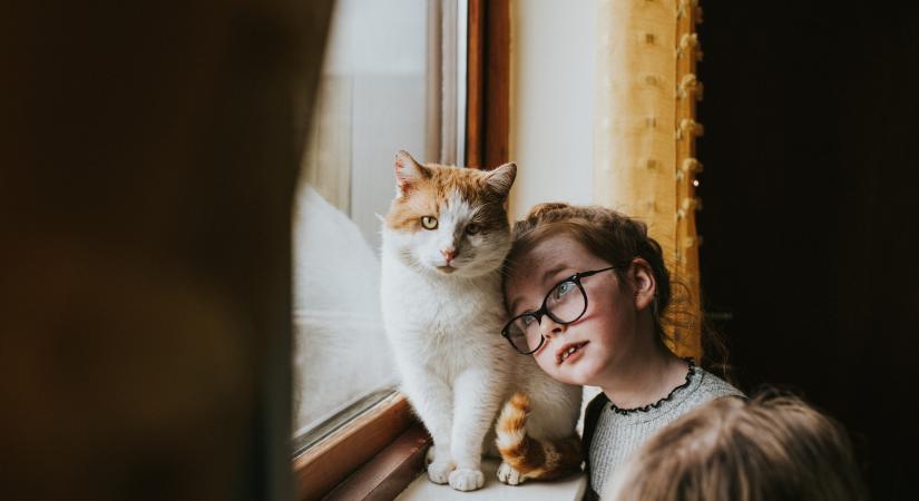 Így kötődnek hozzánk a macskák: meg fogsz lepődni, milyen eredmények születtek