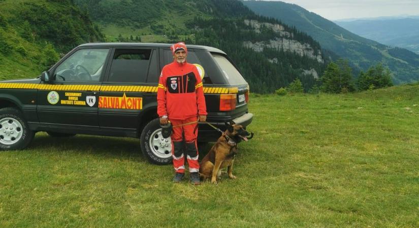 Medvebocsokkal futottak össze a turisták – Riasztották a hegyimentőket