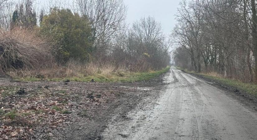 Egyesek nem értenek a szép szóból - elfogyott a türelem a Tisza parti településen