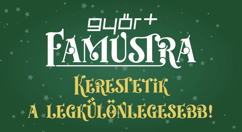 Keressük a vármegye legkülönlegesebb karácsonyfáját!