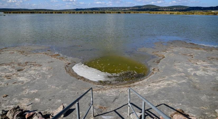 Sokkoló állapotban van a Velencei-tó: szinte kiszáradt, a halak pusztulnak, nagyon nagy a baj