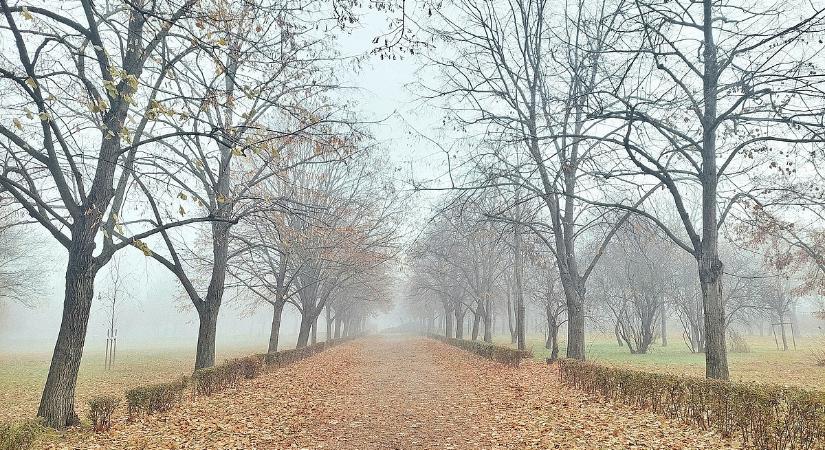 Figyelem, Dunántúl: sűrű köd nehezíti a közlekedést, a látótávolság pár száz méter