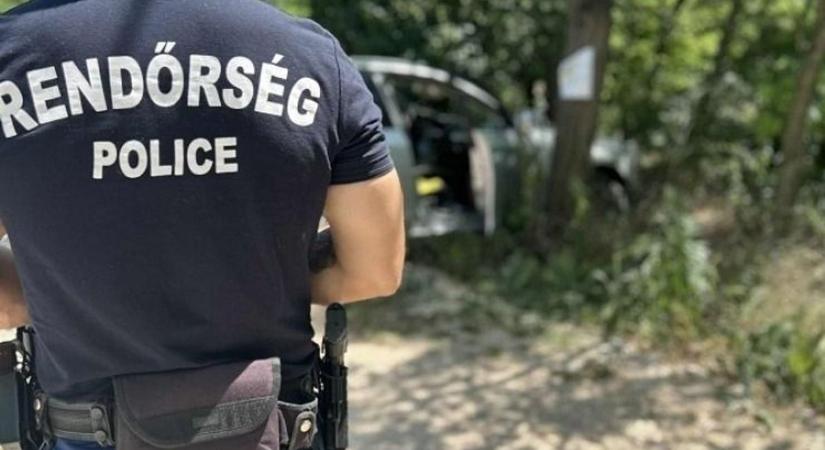 Milliók hevertek szanaszét a kertben egy félbemaradt betörés után