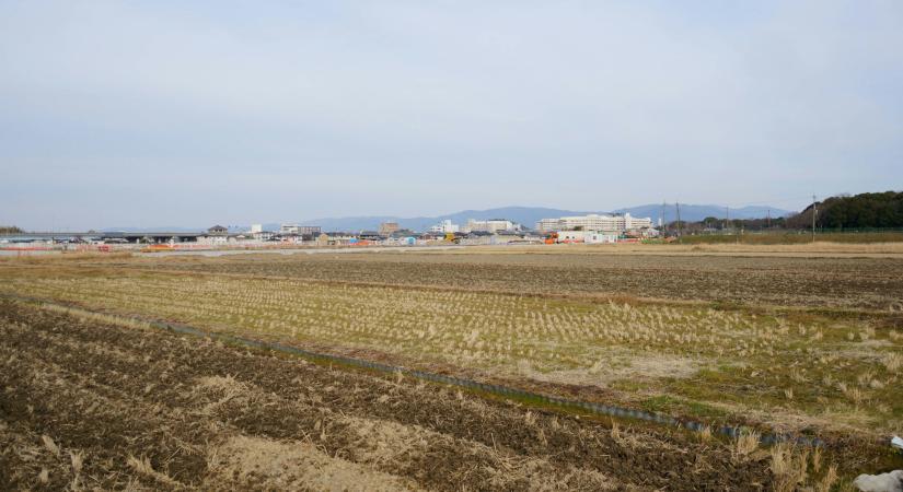 A felülvizsgálati kérelem befogadásának indokai