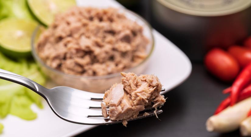 Van egy kis gond a tengeri halakkal