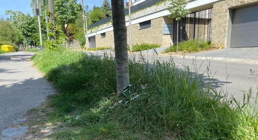 Eltűnt a pécsi buszmegálló, háborognak a környéken élők