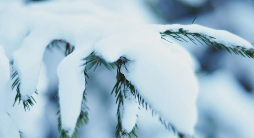 A csoda mindig csendben történik