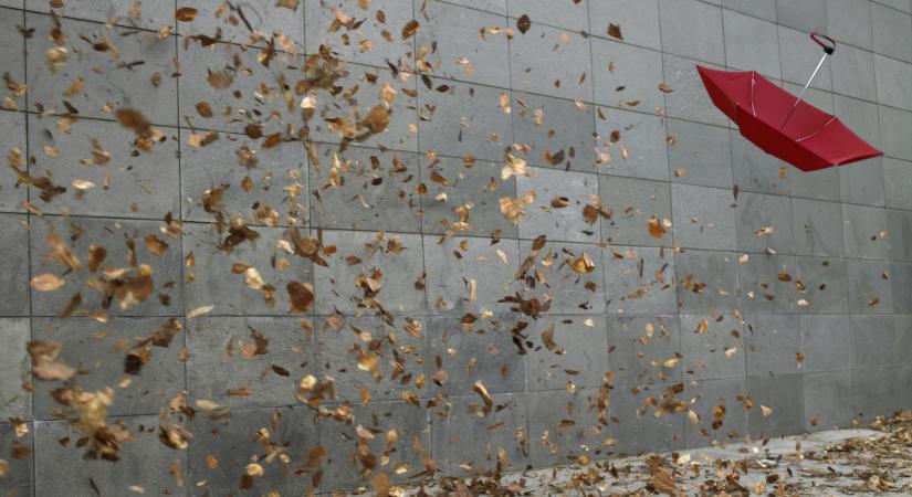 Veszélyben a magyar kkv-k: az alulbiztosítottság és a biztosítás hiánya súlyos kockázatot jelent