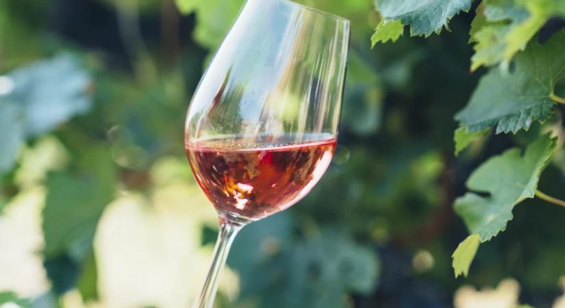 Így iszunk mi: átalakulóban magyar borpiac