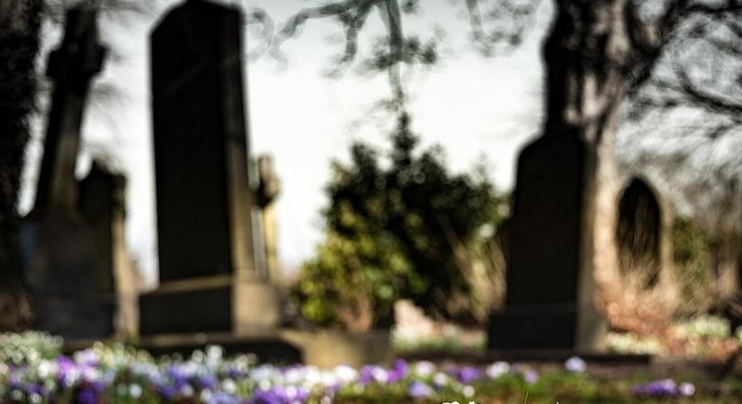 Kétszer annyian haltak meg, mint ahányan születtek