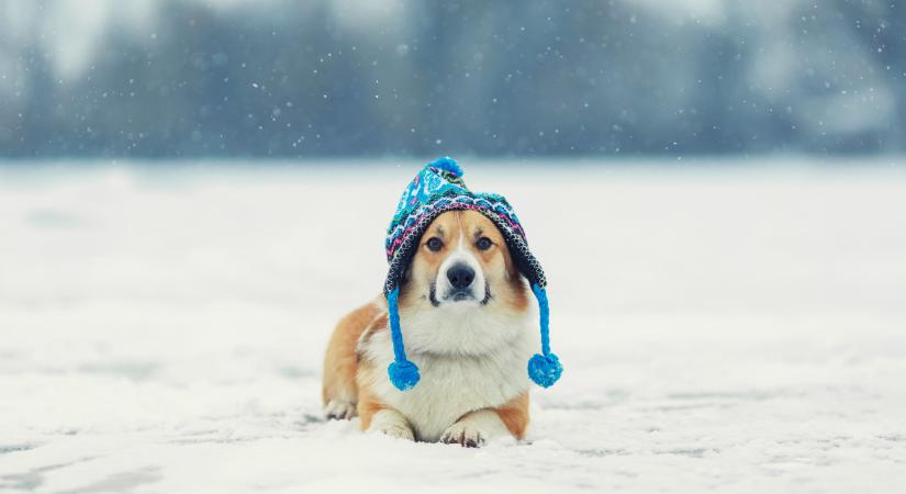 Itt a friss hótérkép: ezen a részen fog esni a hó karácsonykor Magyarországon