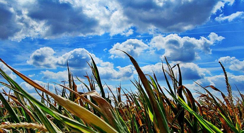 A történelem egyik legmelegebb éve lesz 2026