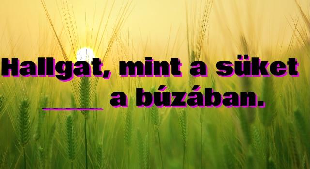 Napi közmondás feladat: Emlékszel még a nagymama tanácsaira? Most hasznát veszed!