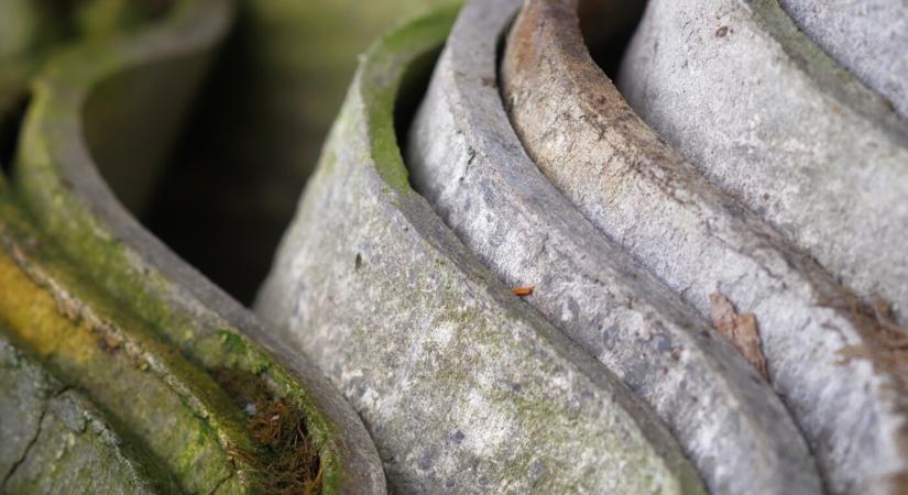 Gazdasági ügyben vizsgálódik a rendőrség egy nagymegyeri felújítás kapcsán