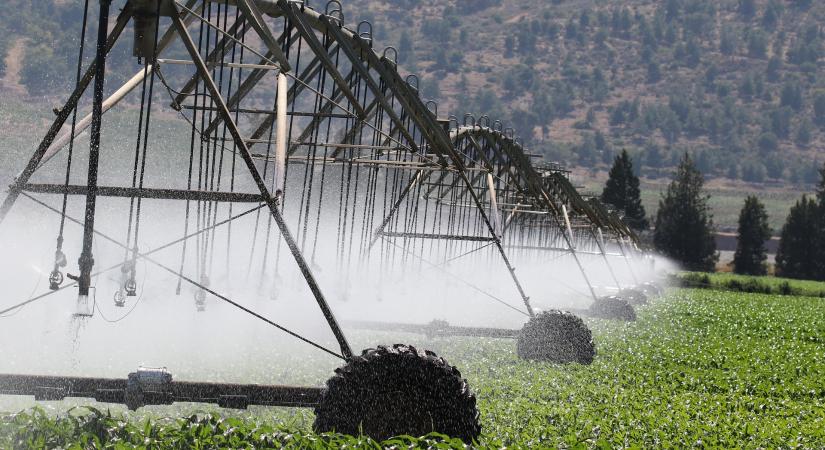 Kiemelten támogatja a kormány az öntözésfejlesztést