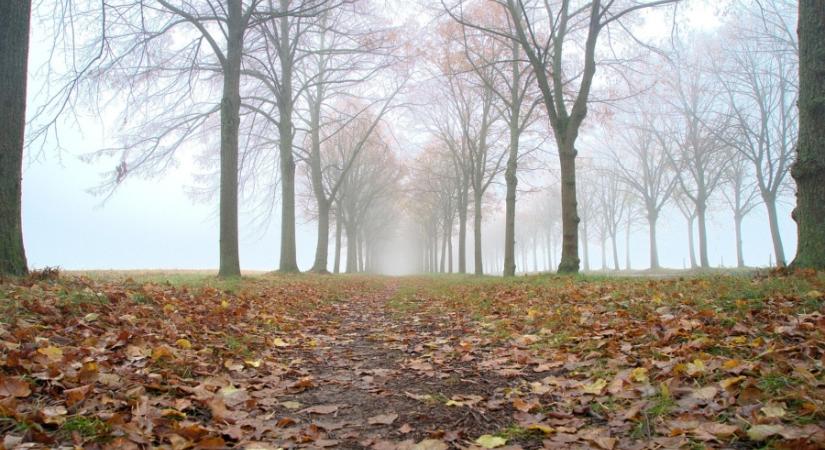 Sűrű ködre figyelmeztetnek több vármegyében
